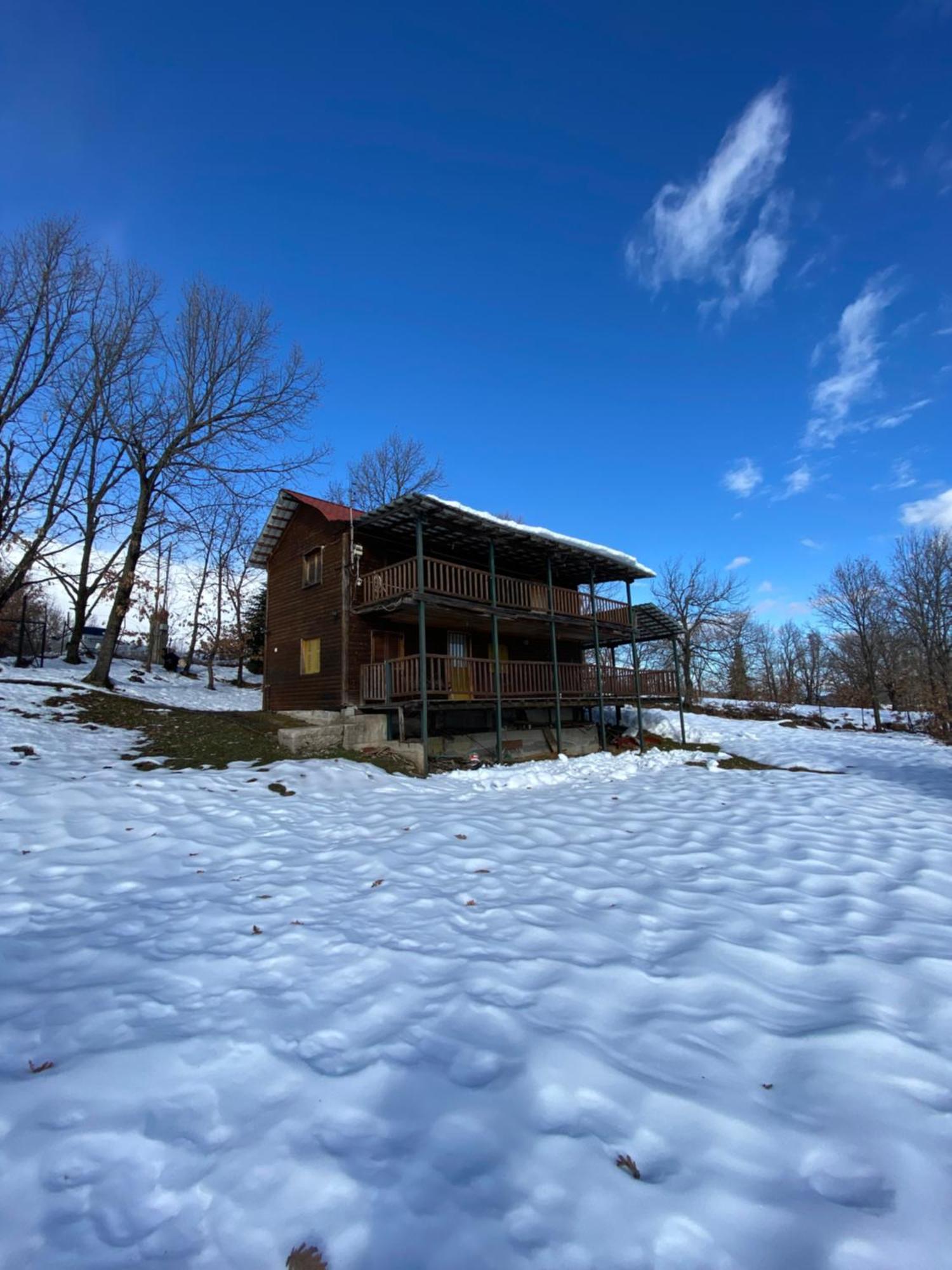 Traditional Wooden Apartment Koutsodimos Экстерьер фото