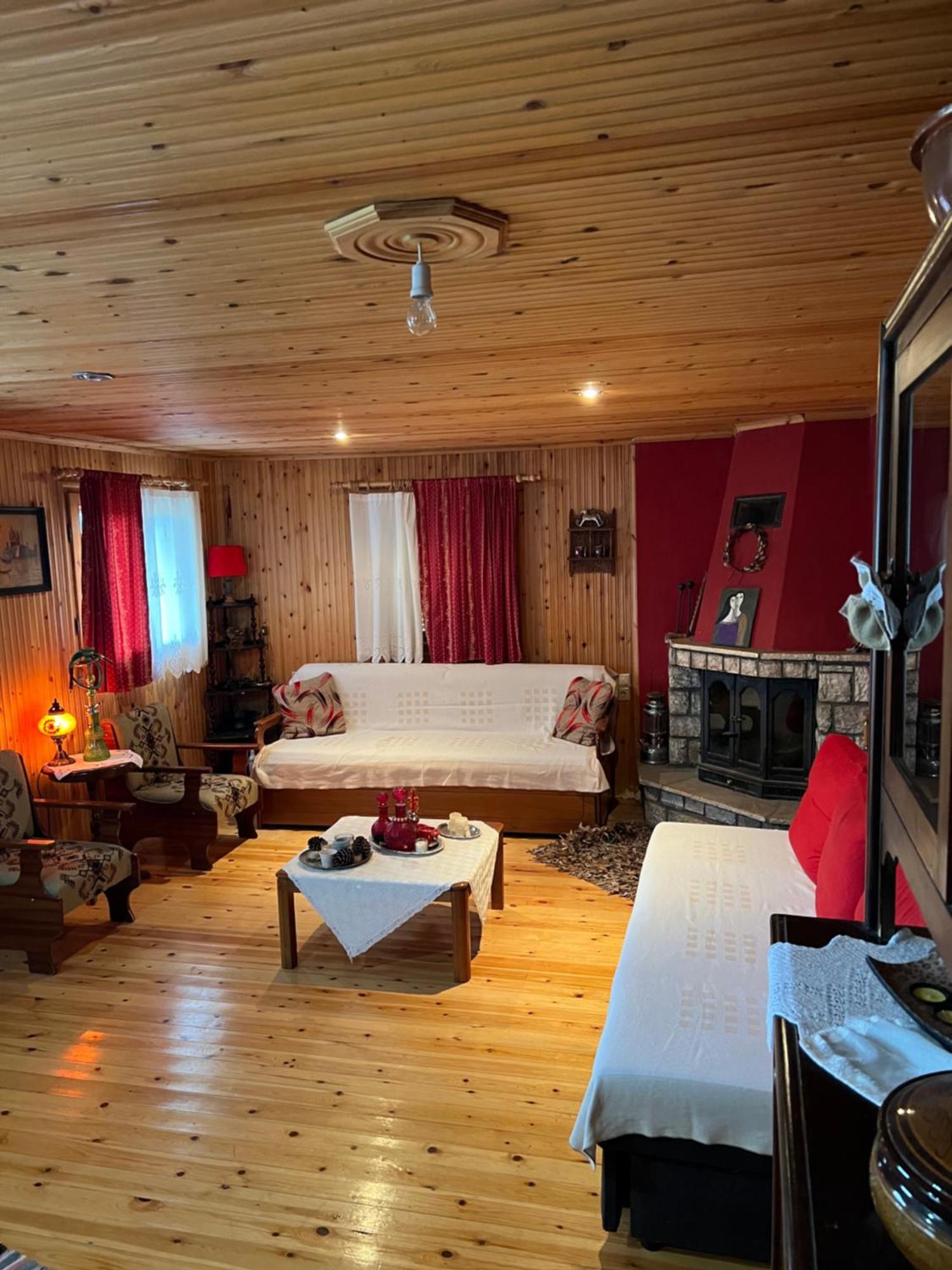 Traditional Wooden Apartment Koutsodimos Экстерьер фото